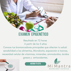 Examen Epigenético