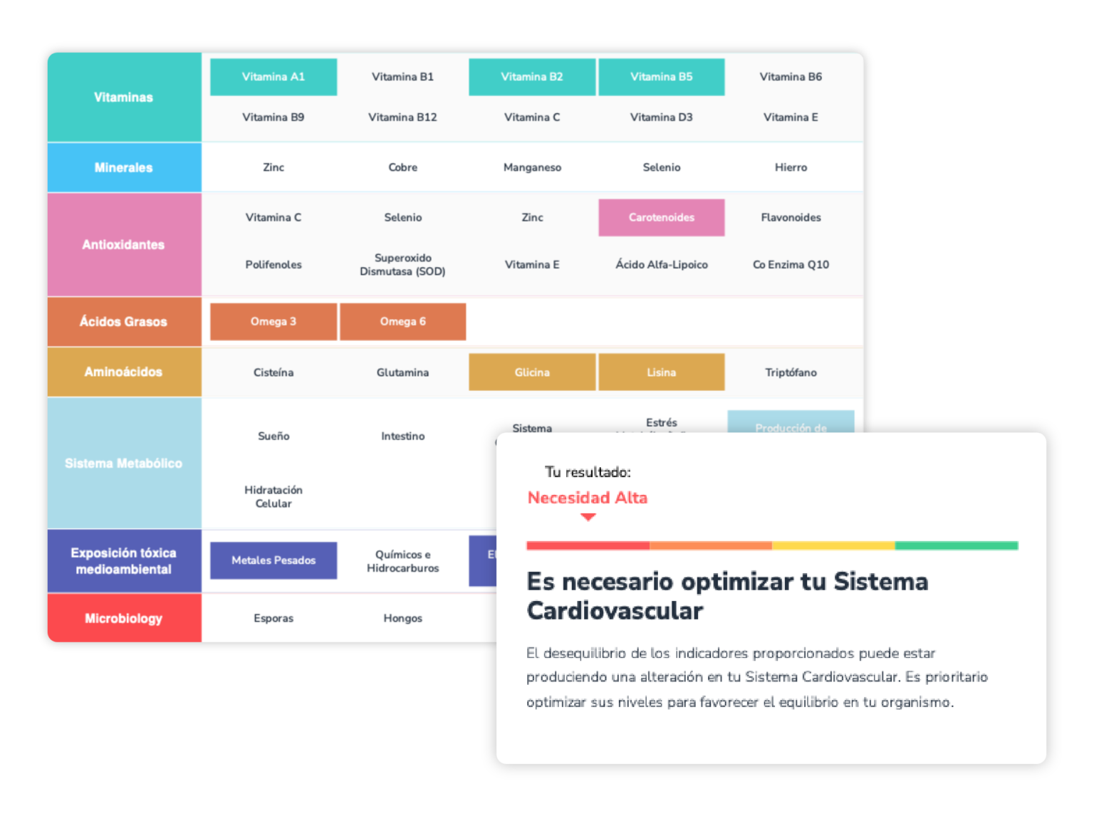Programa Reprogramación Metabólica By Clínica Mi Mantra